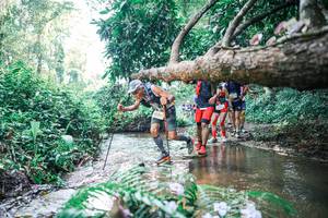 BIB: 
                            <button type="button" onclick="openModal(25450623)" class="btn btn-primary btn-sm float-right btn-popup" data-toggle="modal" data-target=".modal-high-quality">
                        <i class="fas fa-shopping-cart"></i> Add to Cart
                    </button>
                                            <button type="button" onclick="isThisMe(25450623, true)" class="btn btn-success btn-sm float-right btn-popup btn-isme hidden" data-toggle="tooltip" data-placement="bottom" title="นี่คือรูปของคุณใช่ไหม คลิกที่นี่เพื่อเอาเข้าอัลบั้ม">
                        <i class="fas fa-plus"></i> Add to album
                    </button>
                    <button type="button" onclick="isThisMe(25450623, false)" class="btn btn-warning btn-sm float-right btn-popup btn-isnotme hidden">
                        <i class="fas fa-ban"></i> Remove from album
                    </button>